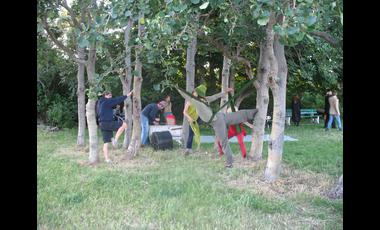 7.tripod in trees.1